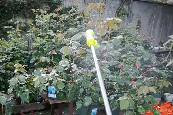 图片[9]-氯氰菊酯乳油针对不同害虫如何使用？-会东网