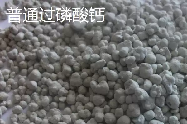 图片[5]-磷肥作为主要养分为磷元素是指什么？-会东网