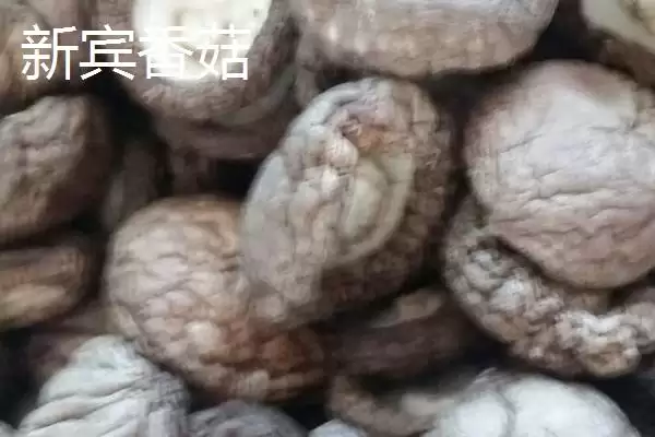 图片[5]-辽宁新宾满族自治县有何特产及农产品标志？-会东网