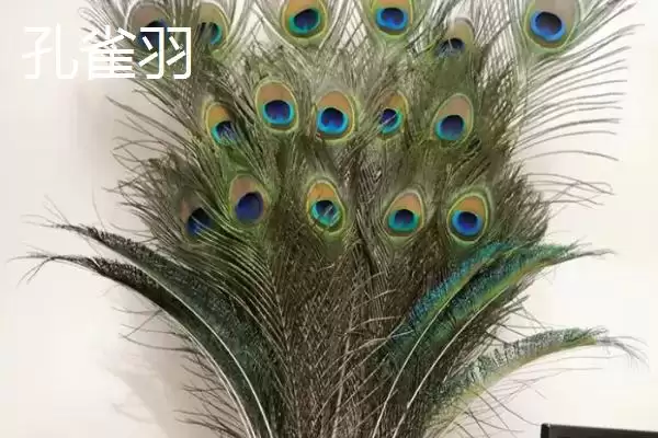图片[7]-鱼漂作为钓鱼基础工具是指什么？-会东网