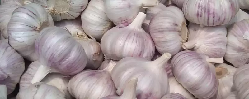 山东省临清市有哪些传统名吃特产？-会东网