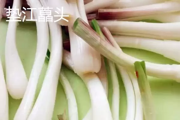 图片[6]-重庆市垫江县有何特产丹皮乡？-会东网