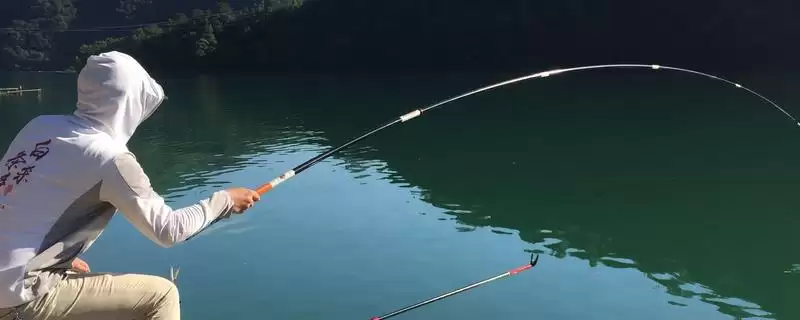 用鸡肝钓黄颡鱼如何打窝诱鱼？-会东网