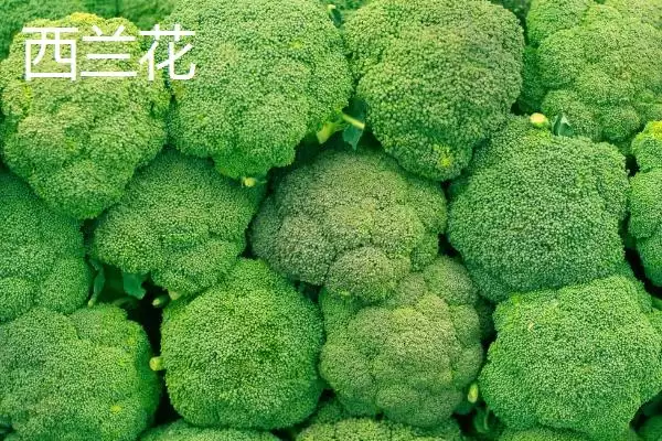 图片[2]-七月份适合种植哪些农作物呢？-会东网