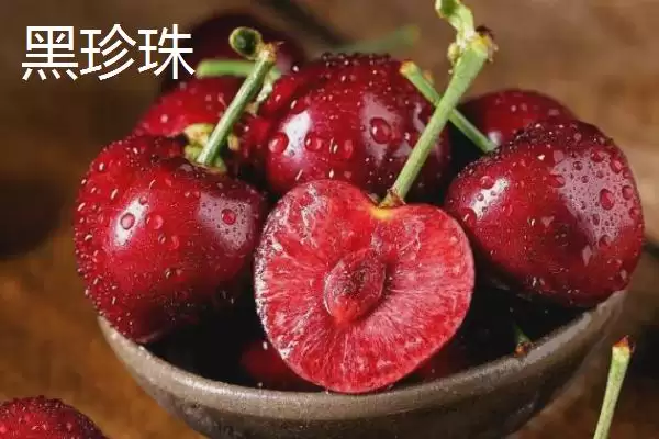 图片[9]-大红灯樱桃肉质松软有何酸甜味？-会东网