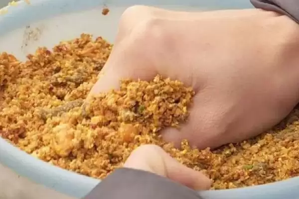 图片[9]-路亚鲶鱼常用的亮片等假饵有哪些？-会东网