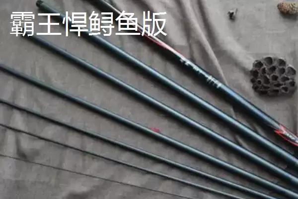 图片[2]-性价比高的鲟鱼竿有哪十种推荐？-会东网