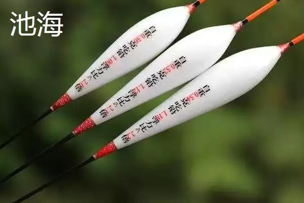 图片[14]-鱼漂作为钓鱼基础工具是指什么？-会东网