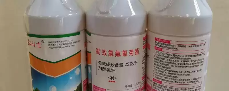 氯氰菊酯乳油针对不同害虫如何使用？-会东网