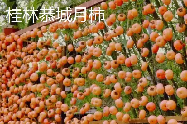 图片[4]-哪些地方产出的柿子比较好吃且有名？-会东网
