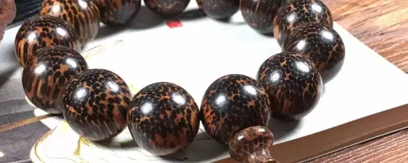被盘过的蛇鳞木是什么样子的呢,被盘过的蛇鳞木是什么样子插图 被盘过的蛇鳞木是什么样子的呢,被盘过的蛇鳞木是什么样子插图