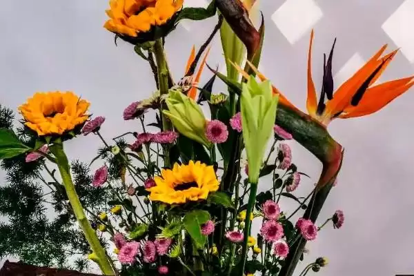 插花需要注意哪些方面的问题呢,插花需要注意哪些问题插图3
