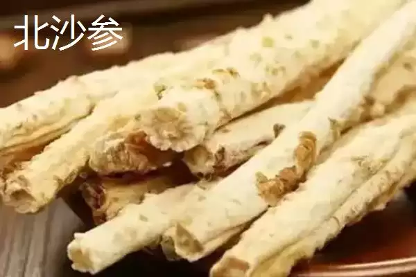 北沙参和南沙参有哪些方面的区别呢,北沙参和南沙参有什么区别插图3 北沙参和南沙参有哪些方面的区别呢,北沙参和南沙参有什么区别插图3