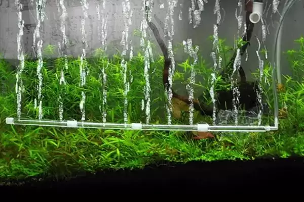 鱼缸加氧的方法方式,对鱼缸加氧有哪些具体的方法方式插图3 鱼缸加氧的方法方式,对鱼缸加氧有哪些具体的方法方式插图3