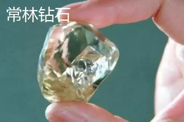 山东省临沭县有何特产及市场声誉？插图4