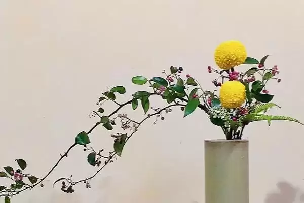 插花需要注意哪些方面的问题呢,插花需要注意哪些问题插图2