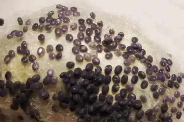 蚕一生要经历哪几个阶段呢,蚕一生要经历哪四个阶段插图3 蚕一生要经历哪几个阶段呢,蚕一生要经历哪四个阶段插图3