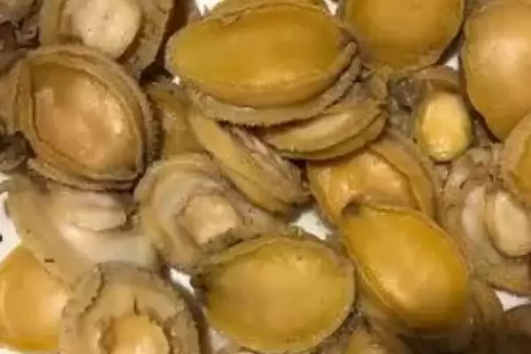 鲍鱼洗净后如何进行保鲜呢,鲍鱼洗净后如何保鲜插图1 鲍鱼洗净后如何进行保鲜呢,鲍鱼洗净后如何保鲜插图1