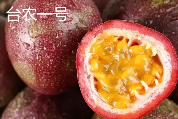 百香果的属性,百香果属于热性还是凉性水果插图7 百香果的属性,百香果属于热性还是凉性水果插图7