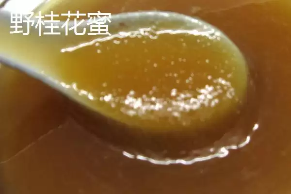 椴树蜜的市场价格,椴树蜜的价格大约在什么范围插图3 椴树蜜的市场价格,椴树蜜的价格大约在什么范围插图3