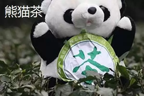 茶树育种如何鉴定品质和方法呢,茶树育种如何鉴定品质插图3 茶树育种如何鉴定品质和方法呢,茶树育种如何鉴定品质插图3