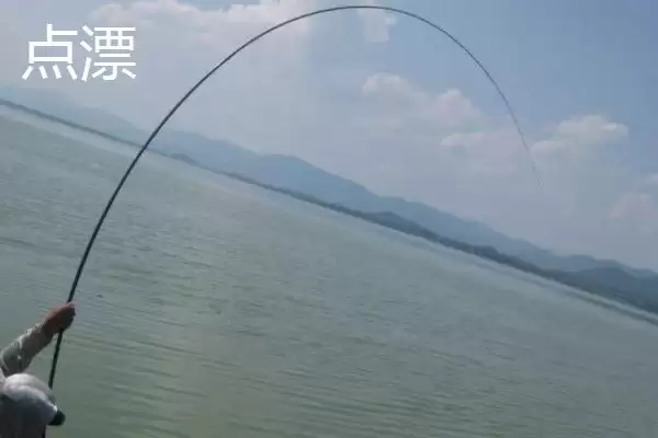 钓鱼的漂相技巧分析,钓鱼漂相有哪些值得关注的技巧插图4 钓鱼的漂相技巧分析,钓鱼漂相有哪些值得关注的技巧插图4