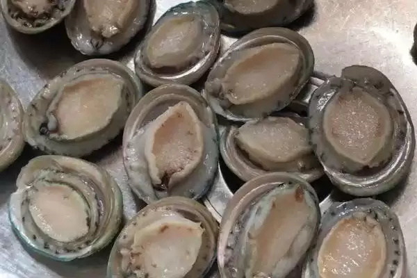 鲍鱼洗净后如何进行保鲜呢,鲍鱼洗净后如何保鲜插图2 鲍鱼洗净后如何进行保鲜呢,鲍鱼洗净后如何保鲜插图2