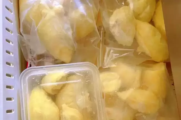 打开榴莲发现肉没熟怎么处理呢,打开榴莲发现肉没熟如何处理插图2 打开榴莲发现肉没熟怎么处理呢,打开榴莲发现肉没熟如何处理插图2
