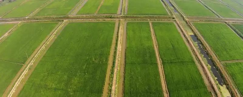 大田种植业的特色特点分析,大田种植业的特色有哪些方面插图 大田种植业的特色特点分析,大田种植业的特色有哪些方面插图