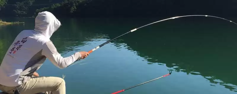 钓鲶鱼的打窝时间要求,钓鲶鱼要提前几天进行打窝-会东网