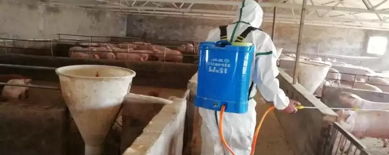 非瘟猪场消毒措施,非瘟猪场应如何进行消毒工作插图 非瘟猪场消毒措施,非瘟猪场应如何进行消毒工作插图