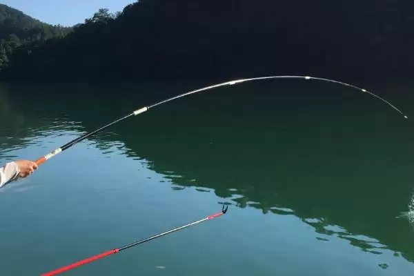 钓黄尾鱼的适宜时间选择,钓黄尾鱼的适宜时间在何时比较好插图2 钓黄尾鱼的适宜时间选择,钓黄尾鱼的适宜时间在何时比较好插图2