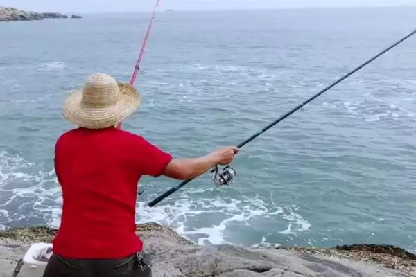 钓鲤鱼首个顿口的处理,钓鲤鱼第一个顿口要进行提竿吗插图3 钓鲤鱼首个顿口的处理,钓鲤鱼第一个顿口要进行提竿吗插图3