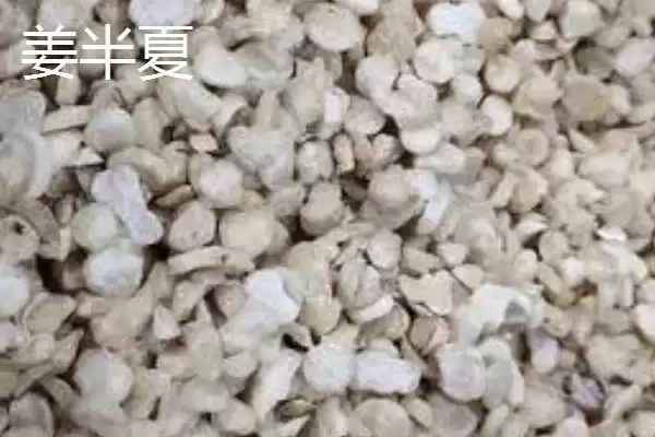 半夏有哪些不同的种类呢,半夏的种类插图3 半夏有哪些不同的种类呢,半夏的种类插图3
