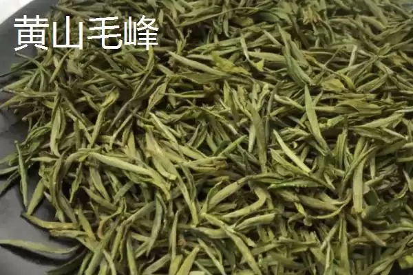 茶树育种如何鉴定品质和方法呢,茶树育种如何鉴定品质插图8 茶树育种如何鉴定品质和方法呢,茶树育种如何鉴定品质插图8