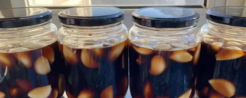 大蒜的腌制方法种类介绍,大蒜怎么腌制有哪些不同方法插图 大蒜的腌制方法种类介绍,大蒜怎么腌制有哪些不同方法插图