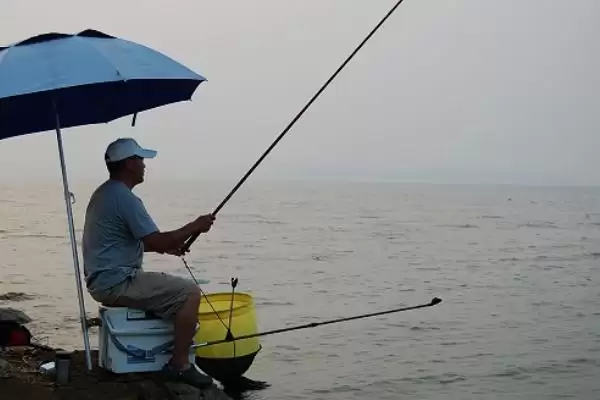 春季钓鲤鱼选什么位置比较好呢,春季钓鲤鱼选什么位置插图2 春季钓鲤鱼选什么位置比较好呢,春季钓鲤鱼选什么位置插图2