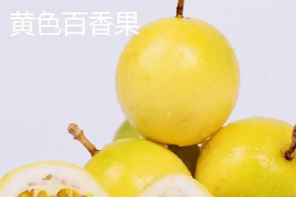 百香果广泛种植地,百香果在哪些热带亚热带地区广植插图9