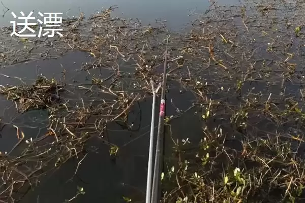 钓鱼的漂相技巧分析,钓鱼漂相有哪些值得关注的技巧插图3 钓鱼的漂相技巧分析,钓鱼漂相有哪些值得关注的技巧插图3