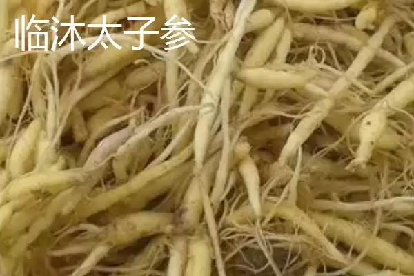 山东省临沭县有何特产及市场声誉？插图5