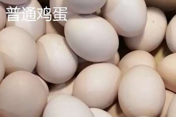柴鸡蛋和普通鸡蛋有何区别呢,柴鸡蛋和普通鸡蛋的区别插图2 柴鸡蛋和普通鸡蛋有何区别呢,柴鸡蛋和普通鸡蛋的区别插图2