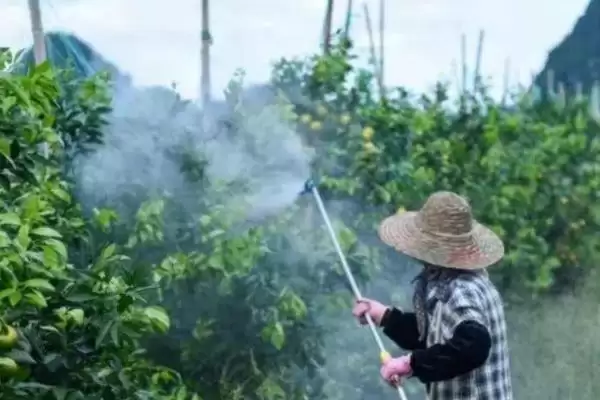 线虫农药防治如何选高剧毒药剂?插图1 线虫农药防治如何选高剧毒药剂?插图1