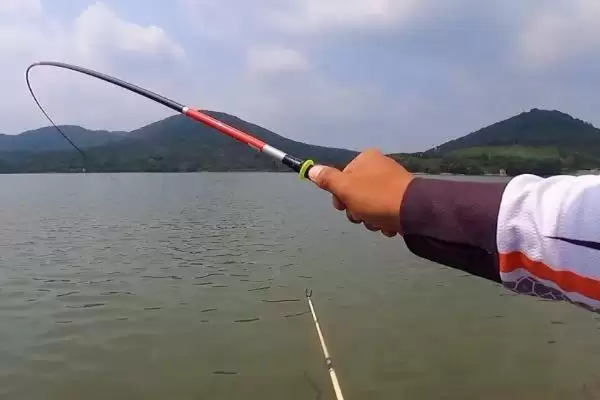 钓大鱼的钓层选择情况,钓大鱼要钓浮还是钓底如何选择插图4 钓大鱼的钓层选择情况,钓大鱼要钓浮还是钓底如何选择插图4