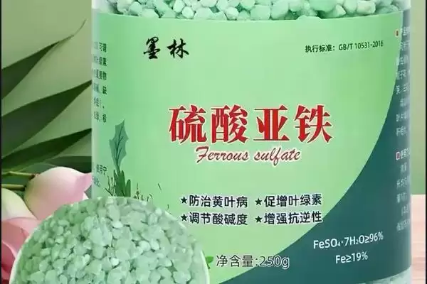 常见的铁肥有哪些种类和名称呢,常见的铁肥有哪些插图1 常见的铁肥有哪些种类和名称呢,常见的铁肥有哪些插图1