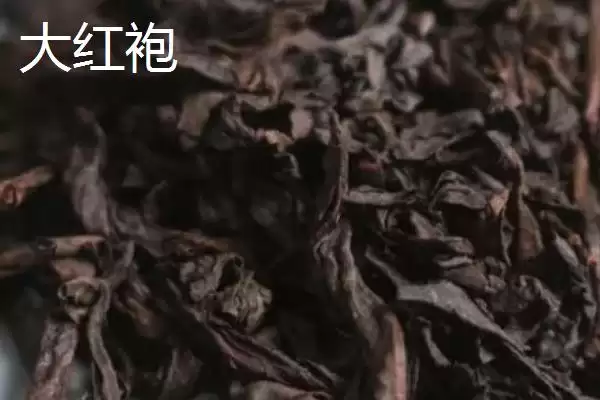 茶树育种如何鉴定品质和方法呢,茶树育种如何鉴定品质插图10 茶树育种如何鉴定品质和方法呢,茶树育种如何鉴定品质插图10