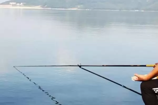 淡水白鲳的路亚可行性,淡水白鲳能不能进行路亚的操作插图4 淡水白鲳的路亚可行性,淡水白鲳能不能进行路亚的操作插图4