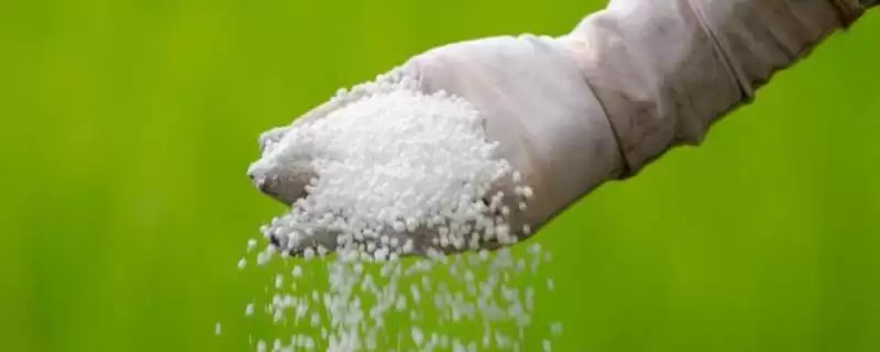氮肥的种类划分情况,氮肥的种类分为哪些不同的类型-会东网