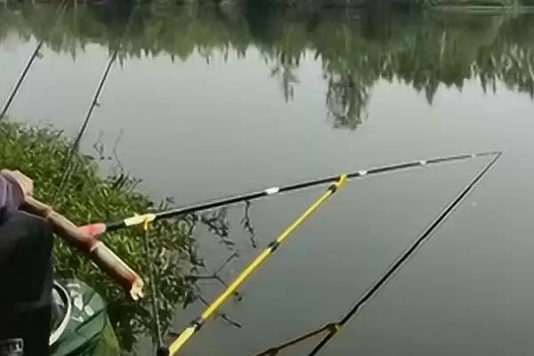 钓鲤鱼首个顿口的处理,钓鲤鱼第一个顿口要进行提竿吗插图4 钓鲤鱼首个顿口的处理,钓鲤鱼第一个顿口要进行提竿吗插图4