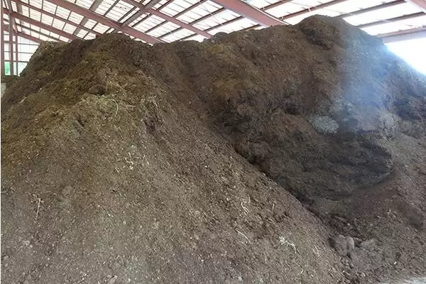 如何判断饼肥完成发酵的方法有哪些?插图3 如何判断饼肥完成发酵的方法有哪些?插图3