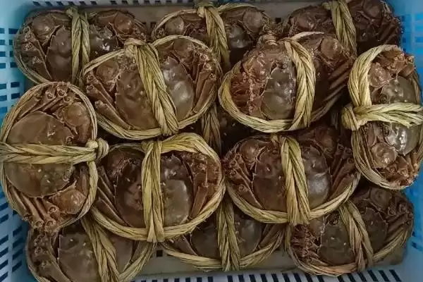 大闸蟹的基本介绍及地位,大闸蟹是怎样的传统水产珍品插图1 大闸蟹的基本介绍及地位,大闸蟹是怎样的传统水产珍品插图1